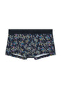 Front cutout view of HO multi-colour  Trunk