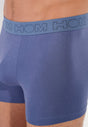 General view of a men model wearing HO black/blue/white cotton Boxer Briefs 3p