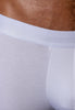 Close-up view of a men model wearing HO white cotton Boxer Briefs