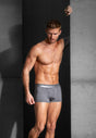 Full-body view of a men model wearing HO grey cotton Boxer Briefs HO1