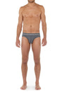 General view of a men model wearing HO grey cotton Briefs HO1