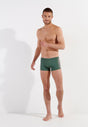 Full-body view of a men model wearing HO khaki green  Swim Shorts