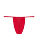 Back cutout view of HO red  G-String