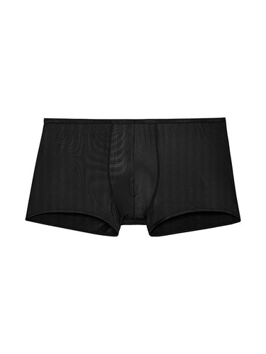 Front cutout view of HO black  Trunk