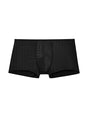 Front cutout view of HO black  Trunk