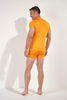 General view of a men model wearing HO ginger modal/viscose/tencel Tee-Shirt Crew Neck