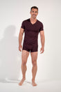 Full-body view of a men model wearing HO bordeaux modal/viscose/tencel Tee-Shirt V Neck