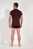 General view of a men model wearing HO bordeaux modal/viscose/tencel Tee-Shirt V Neck