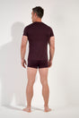General view of a men model wearing HO bordeaux modal/viscose/tencel Tee-Shirt V Neck