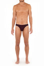 Full-body view of a men model wearing HO bordeaux modal/viscose/tencel Comfort Micro Briefs