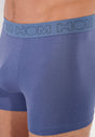 General view of a men model wearing HO black/blue/white cotton Boxer Briefs 3p