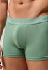 General view of a men model wearing HO black/khaki/bordeaux cotton Boxer Briefs 3p