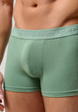 General view of a men model wearing HO black/khaki/bordeaux cotton Boxer Briefs 3p
